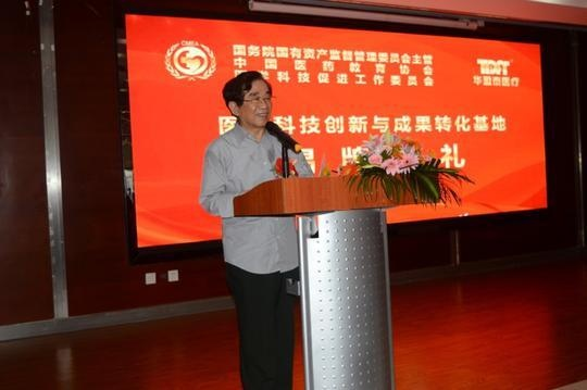 丁青艾教授